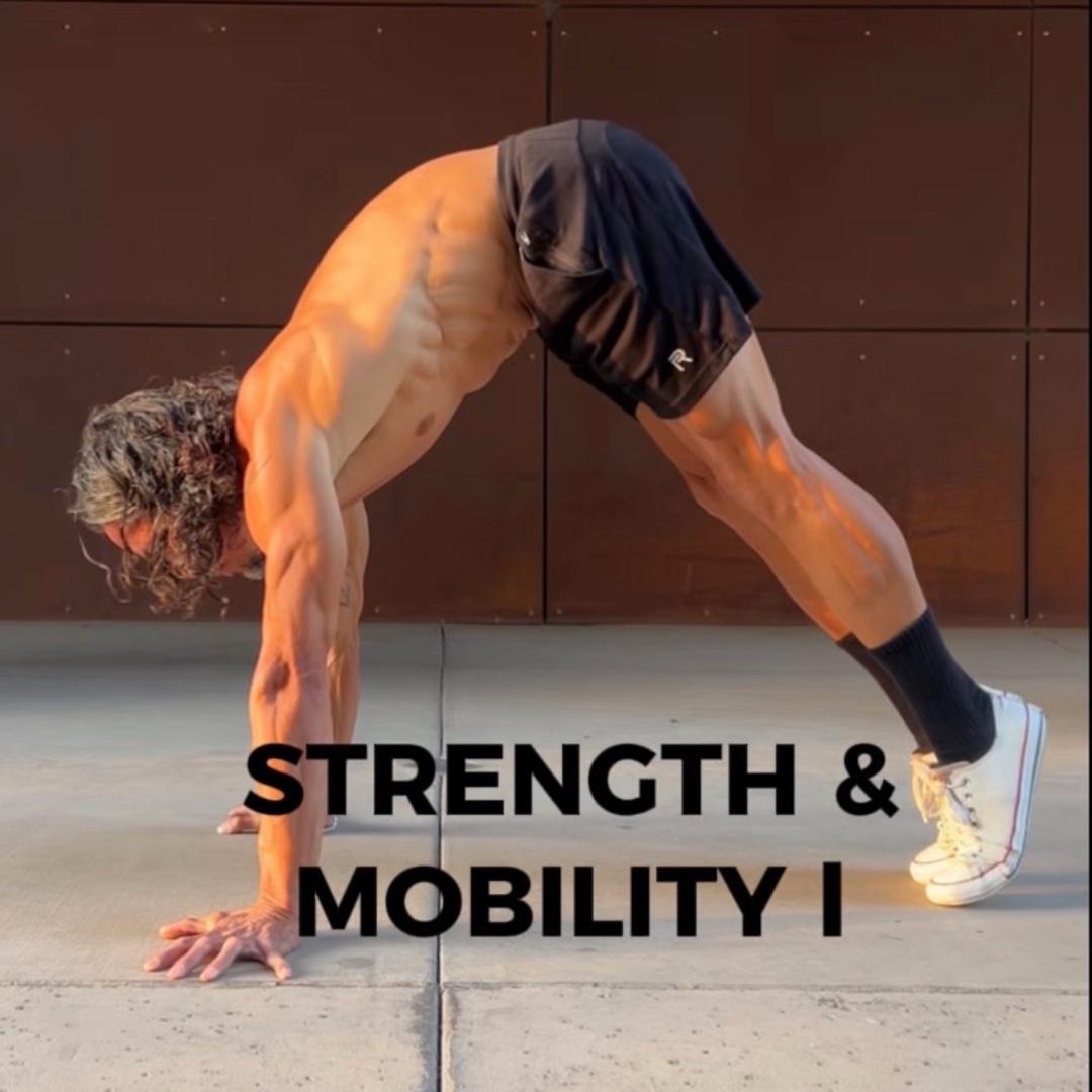 Strength & Mobility I