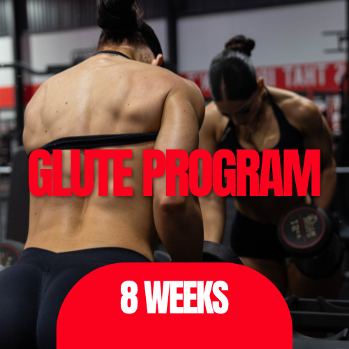 GLUTE FOCUSED PROGRAM - LIFETIME