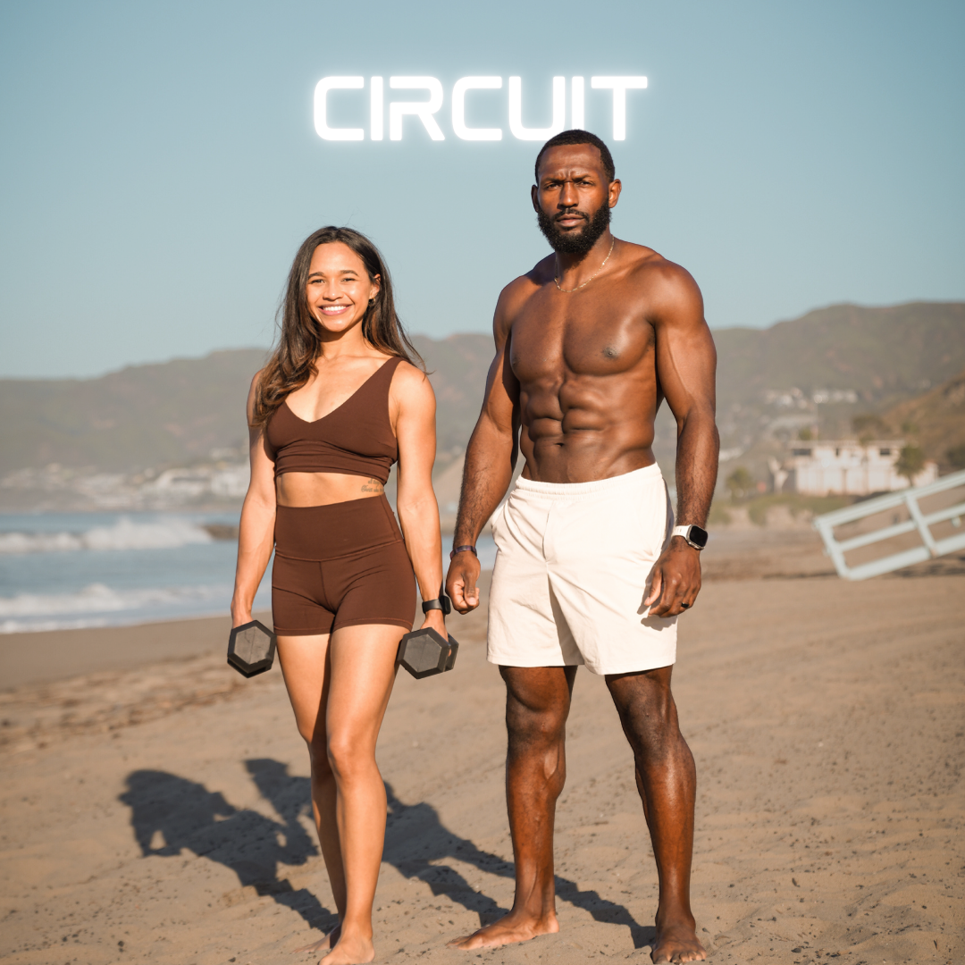 SUMMER READY 2026 [CIRCUIT]