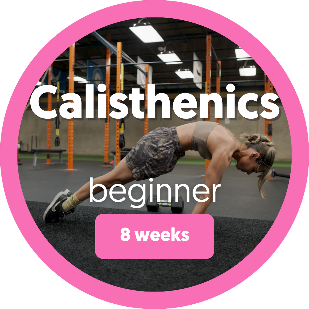 Beginner Calisthenics