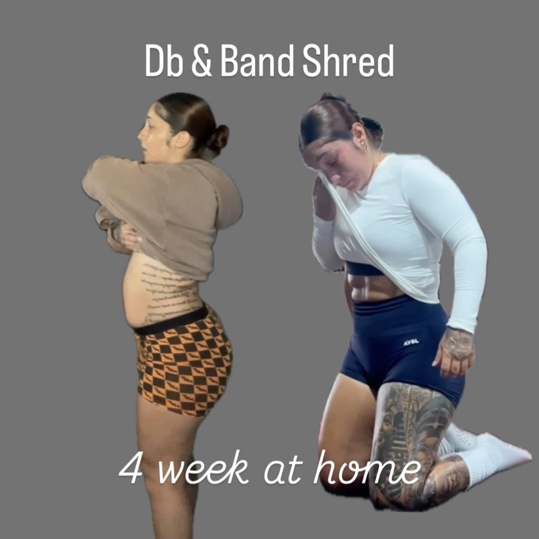 Db & Band Shred