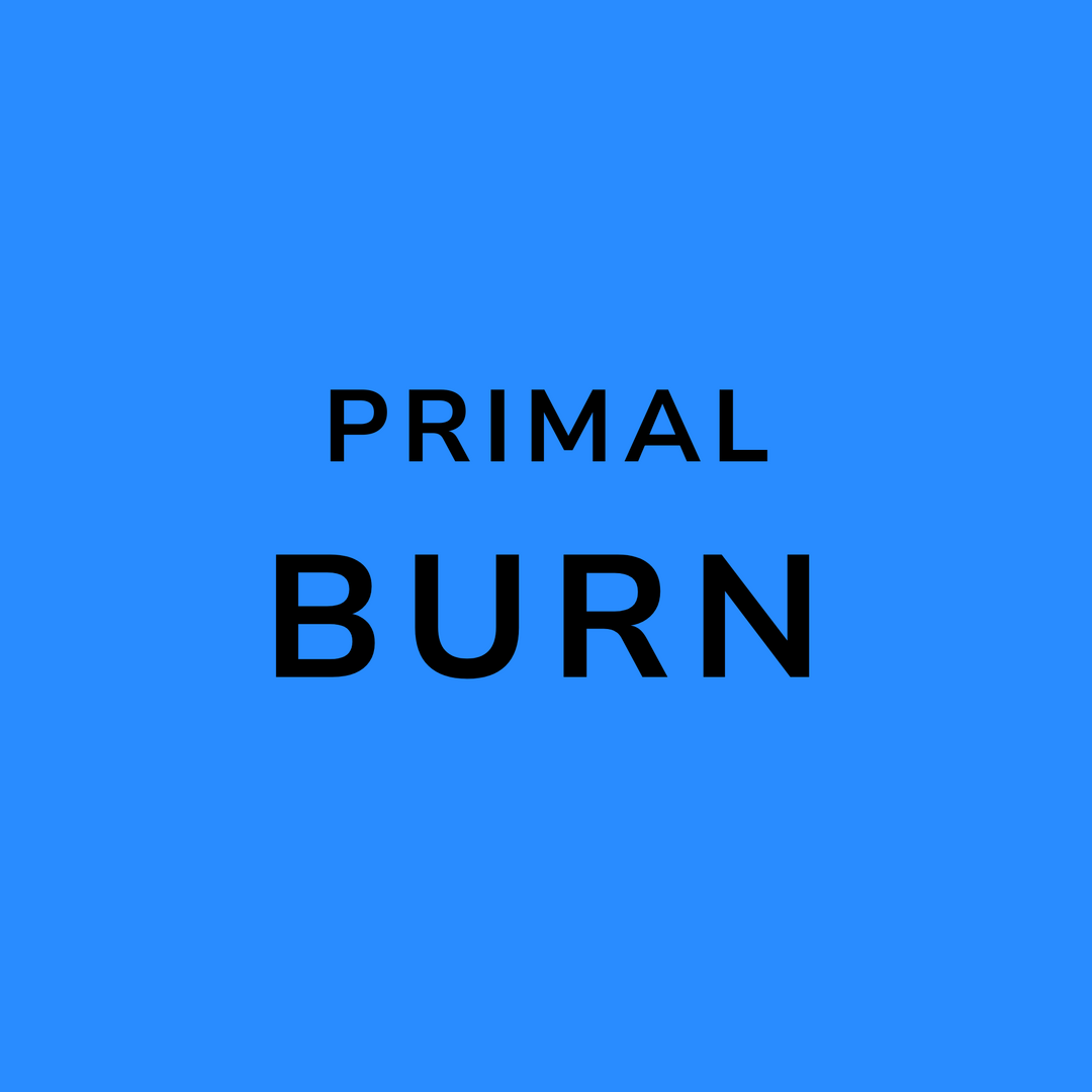 The Primal Burn - Lean and Shredded in 30 01Copy