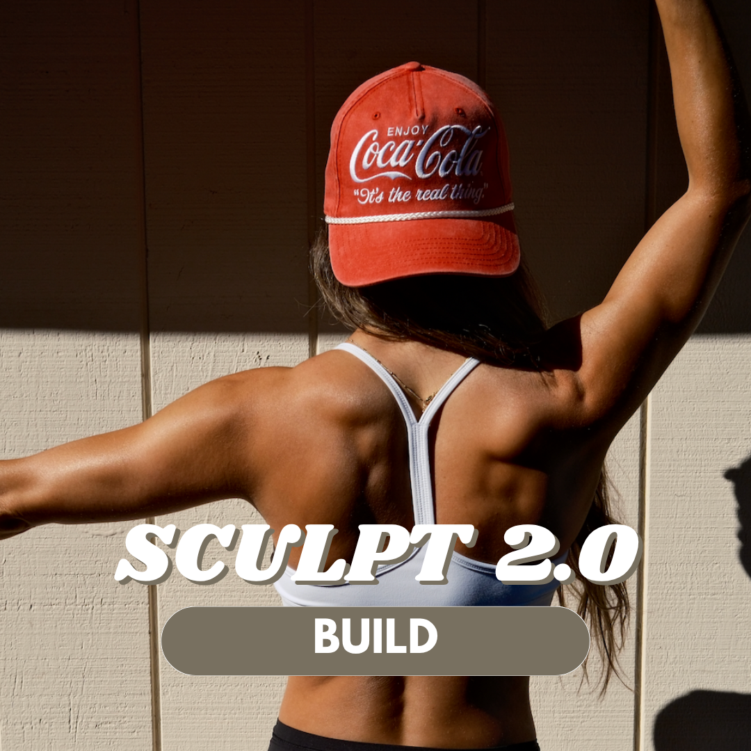 SCULPT 2.0: Build