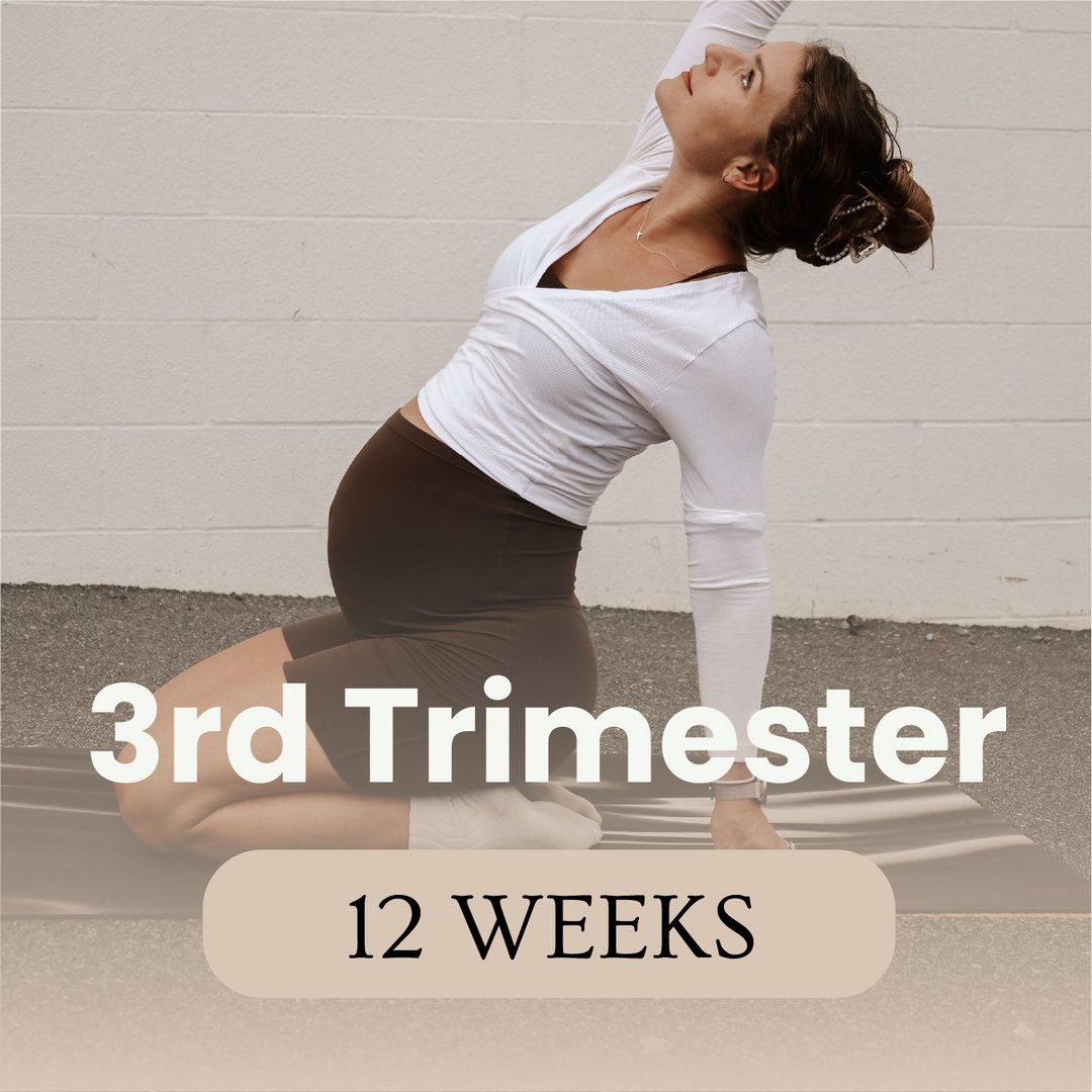 3rd Trimester Prenatal