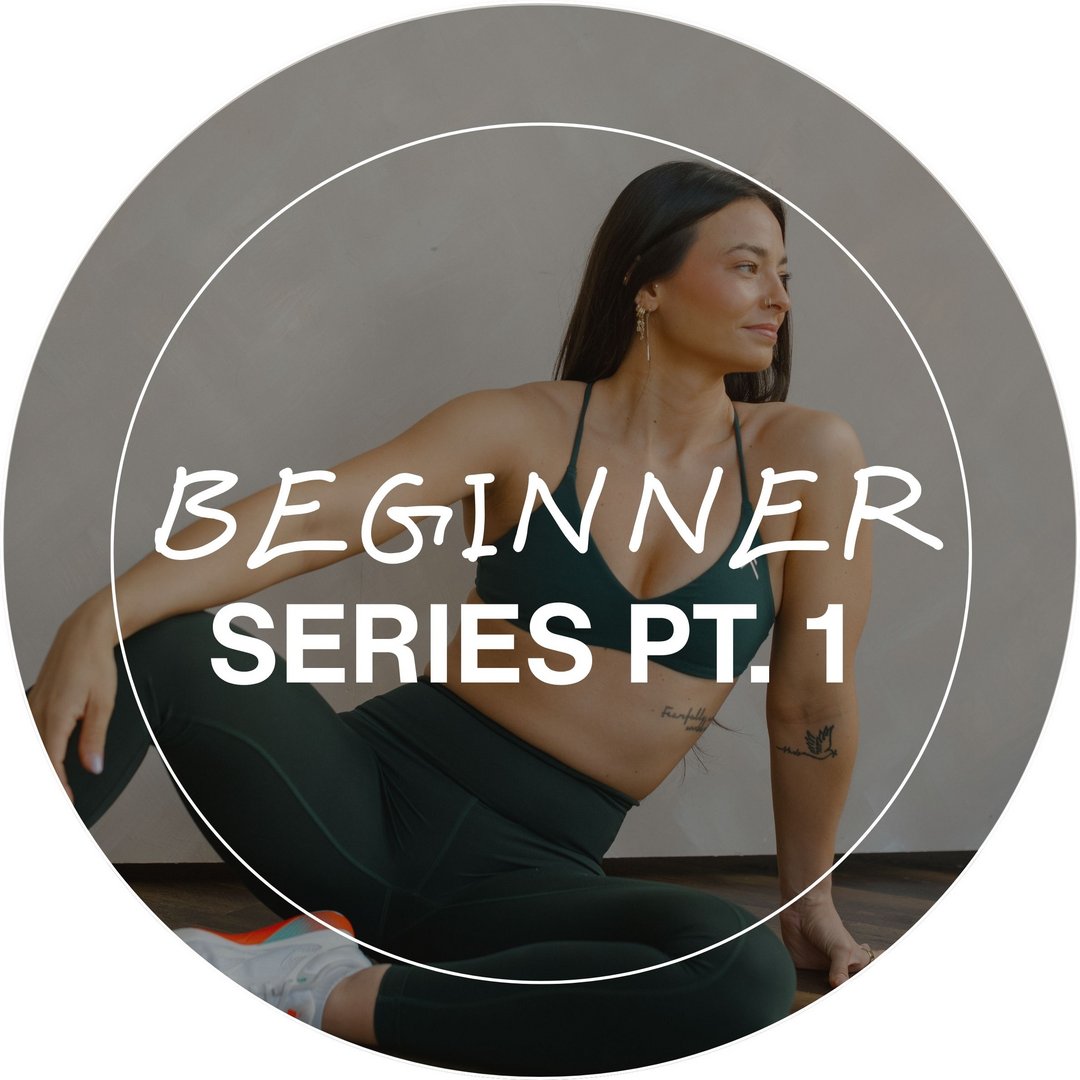 Beginner Series Pt. 1