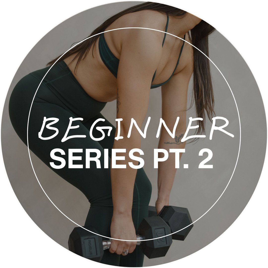 Beginner Series Pt. 2