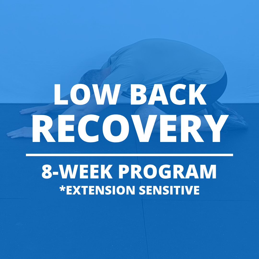 Low Back Recovery 2